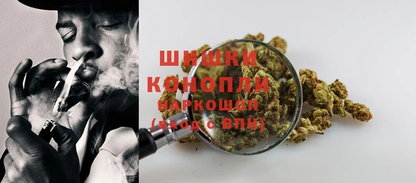 молекула духа Навашино