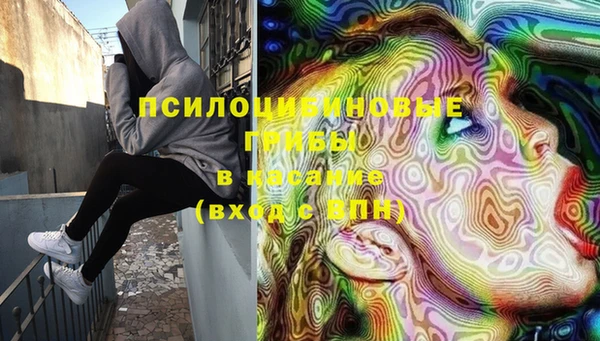 трава Надым