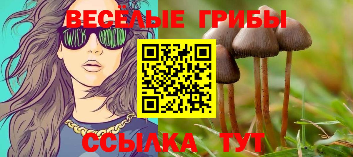 Галлюциногенные грибы GOLDEN TEACHER Соль-Илецк